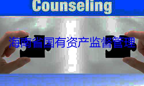 委副书记王查调查理委员会党资产监督管有福接受审海南省国有
